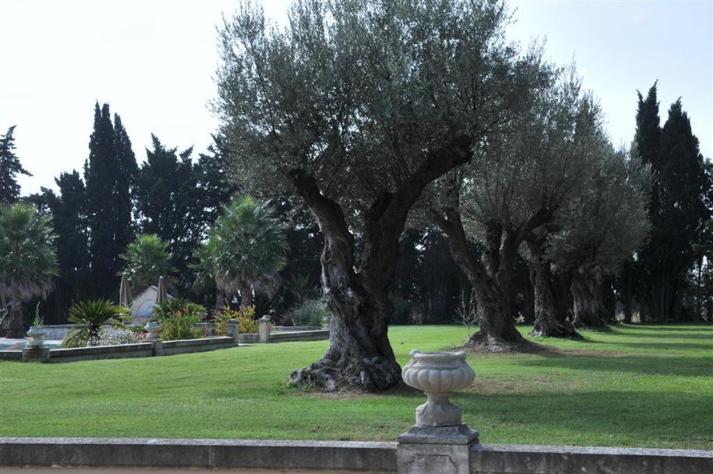 Domaine Du Grand Malherbes Aimargues Bagian luar foto